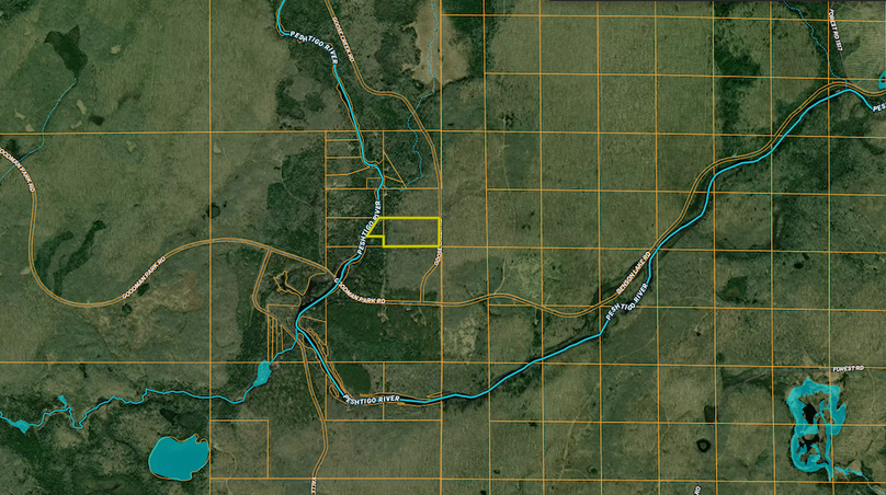 Forest23.92Krull midaerial