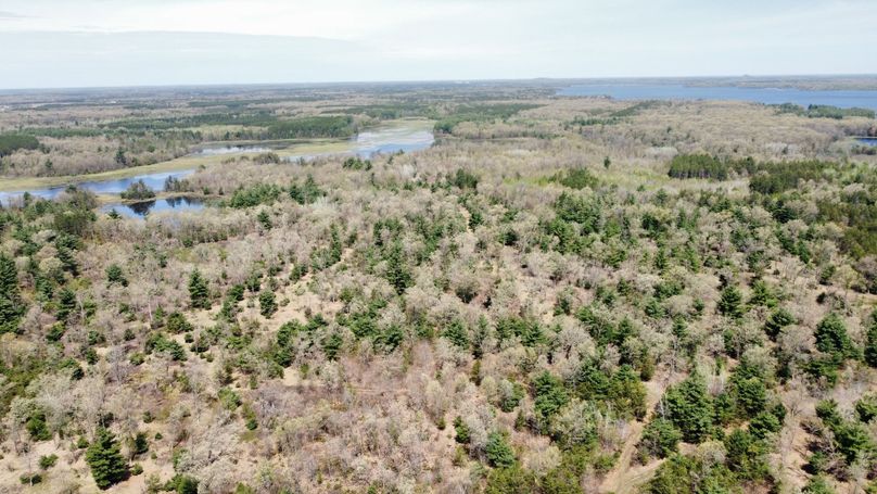 dji_fly_20230511_113546_431_1683838330297_photo_optimized