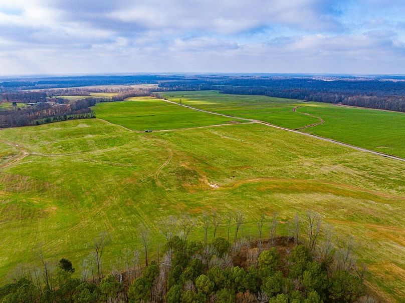 Henry 137 Miller-11-2