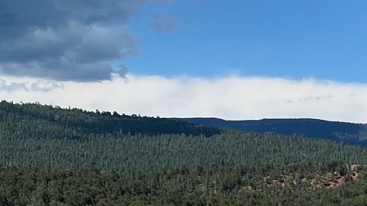 Northern New Mexico Mountain Property Whitetail Properties