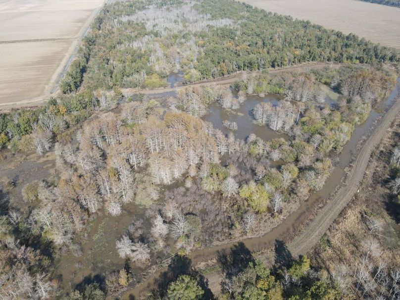 dji_fly_20241129_121542_377_1732904172200_photo