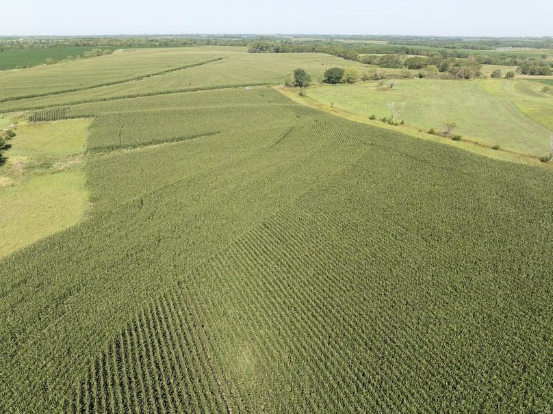 DJI_20250729103606_0088_D