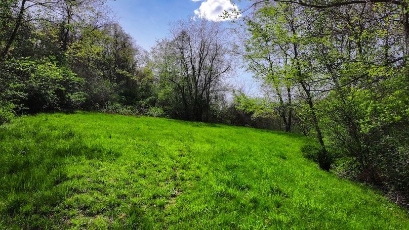 DJI_20250425040847_0445_D
