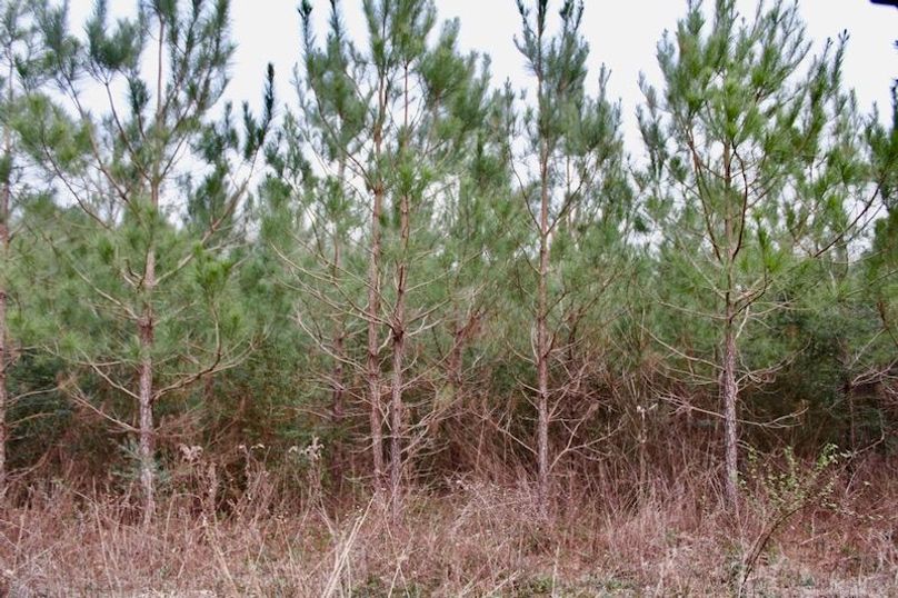 D2E54428-EA93-4594-97FB-322CD73EA0D2_1_105_c