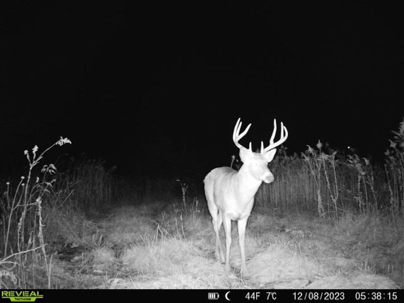 860322065128164-1-4-12082023053814-V-W1006331