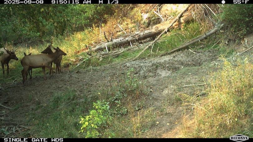 6E91A44C-5537-44D1-A284-5414386A72FA