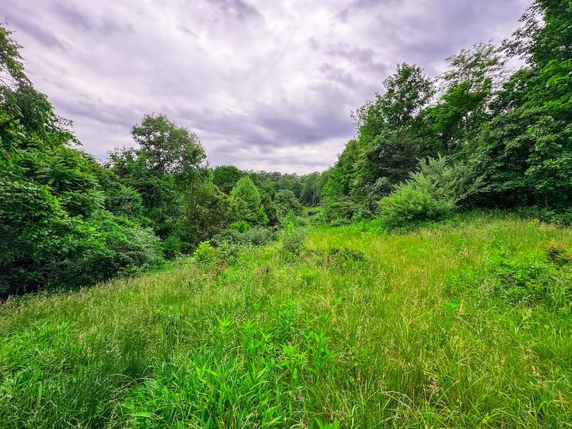 Tyler, WV 313.87 AC -14