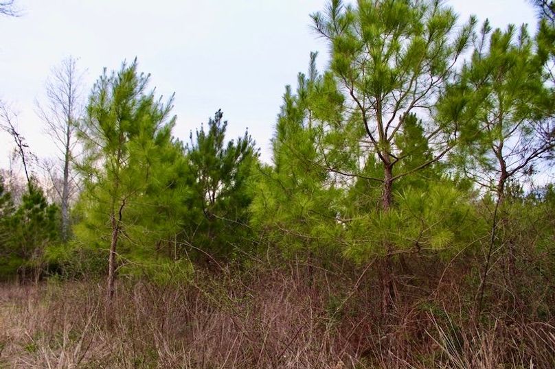 E5AC0467-8583-4F0A-833F-34BE1C0324EB_1_105_c