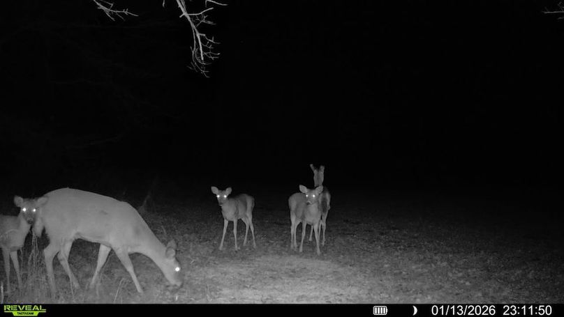 016578001722351-84-2-01132026231150-SYFW11999