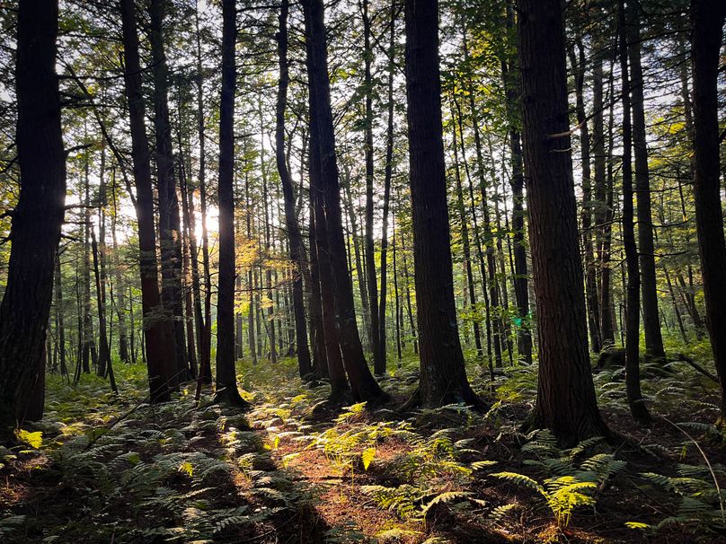 Oswego_30_RouselandInvestments_LLC_Photos_11