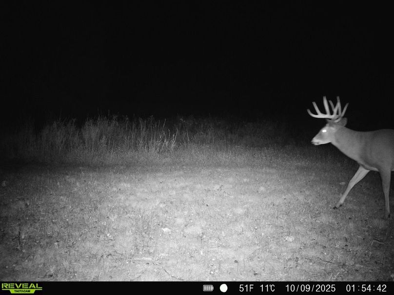 860322065610492-90-4-10092025043114-HD-SYFW0689