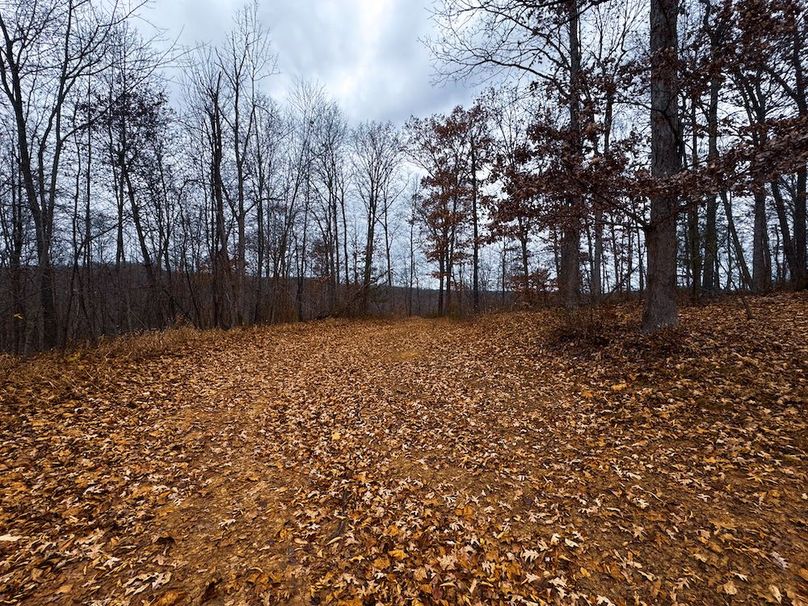 Ritchie, WV 100 AC Harper-55