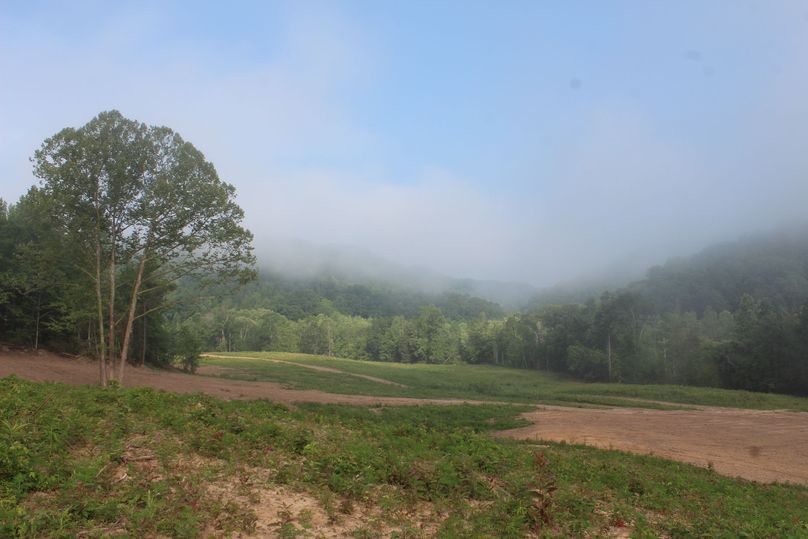 002 WOW! the view from the home_cabin seat as you wake up to the morning fog raising over the creek valley