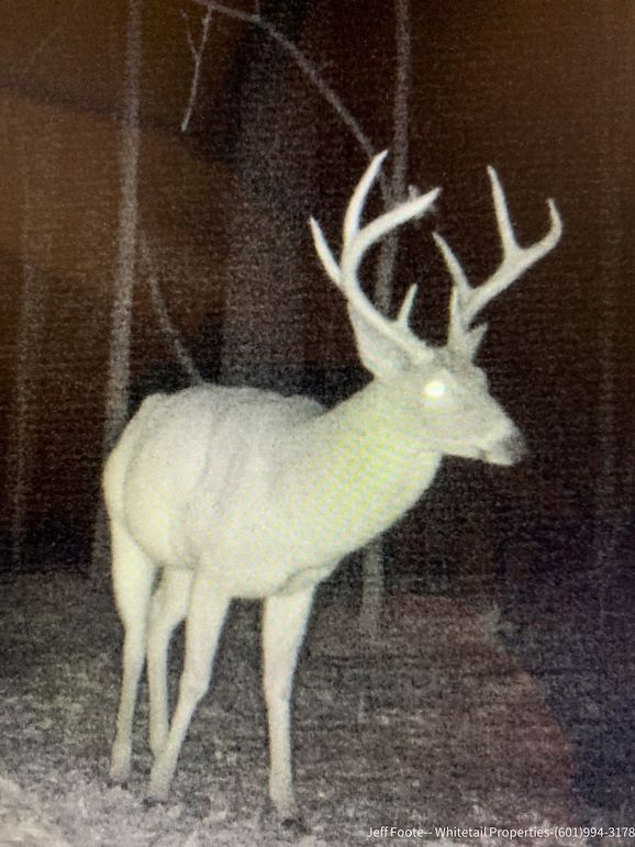 Hinds Co - 53.51 - MT Beasley-12