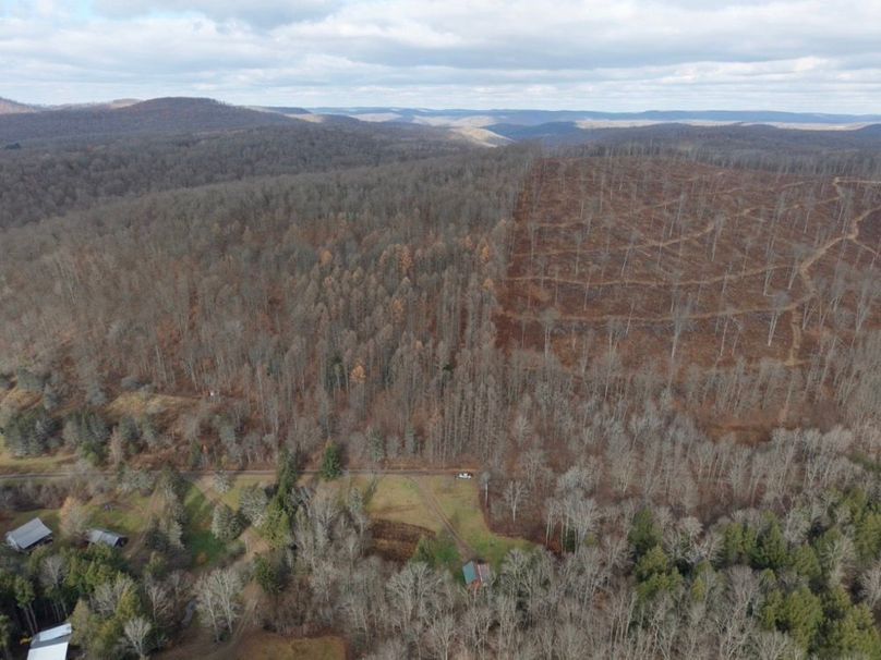 DJI_20251122120700_0083_D