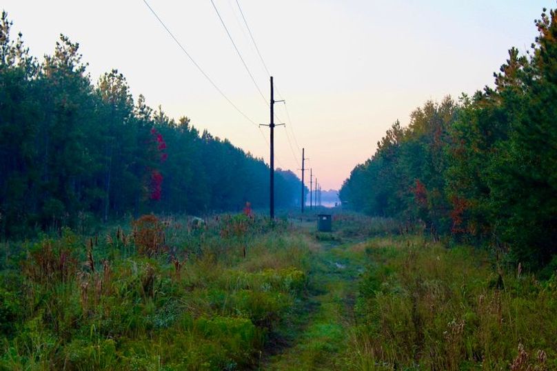 F34E5461-A117-42A0-BF6F-7211CE0470DD_1_201_a