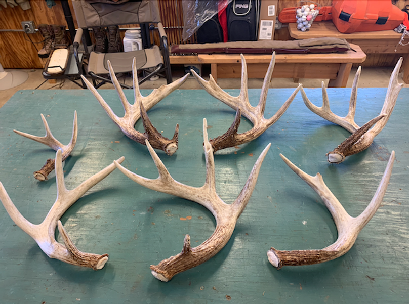 Screenshot 2024-09-04 at 2.31.00 PM