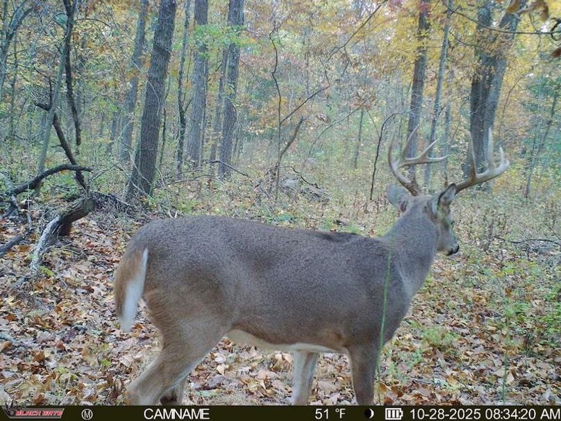 5E476A0B-E1CD-49FD-B603-5EC8850E3D67