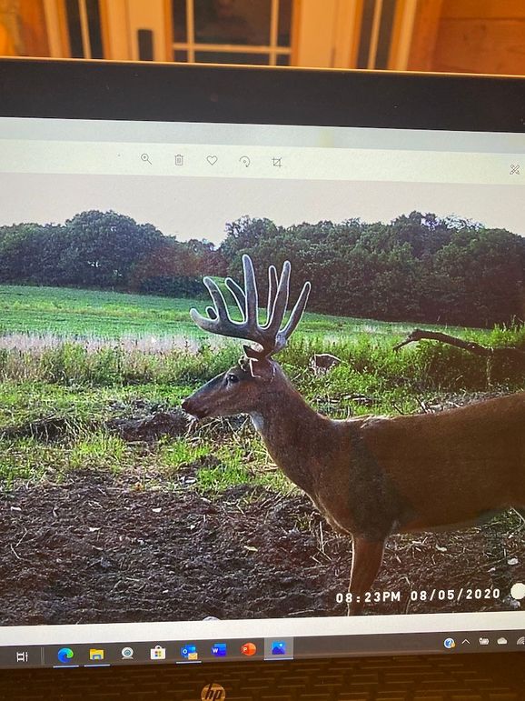 61888842237__5DAFC402-AC00-48EF-8A52-5CD8D67F8A74