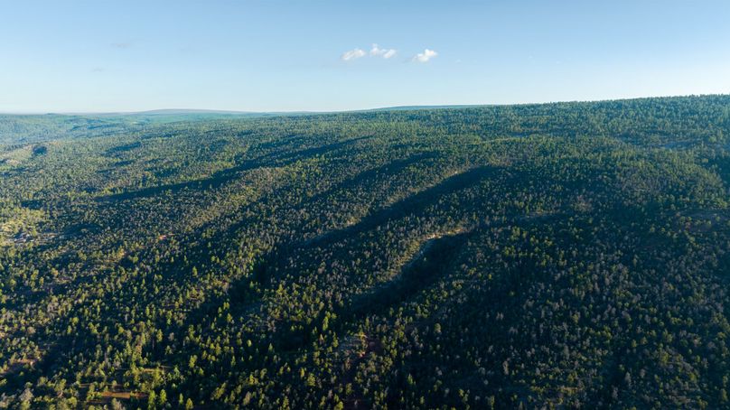 Cibola NM 13,053--145