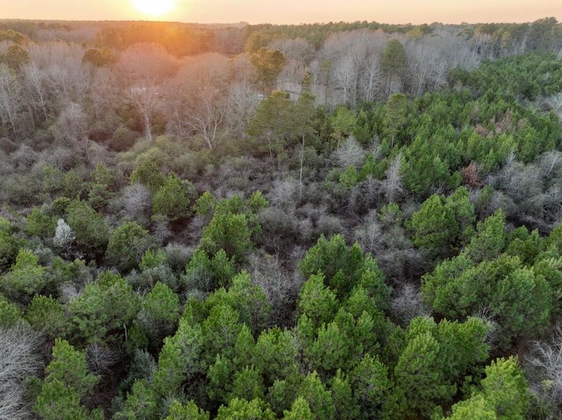 8F0302DC-FB79-4F33-B724-0A53CD5EFDC7_1_105_c