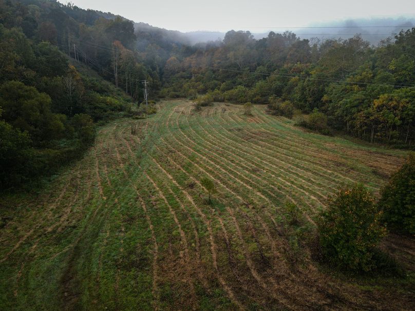 dji_fly_20231005_072756_138_1696505351037_photo