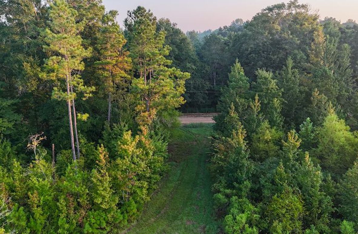 Madison Co - 40 - Clerk-03