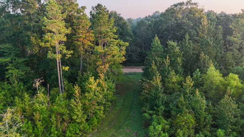 Madison Co - 40 - Clerk-03