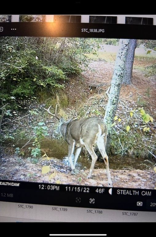 7A7A1A43-F1C4-44D6-8B39-8963504D15F1