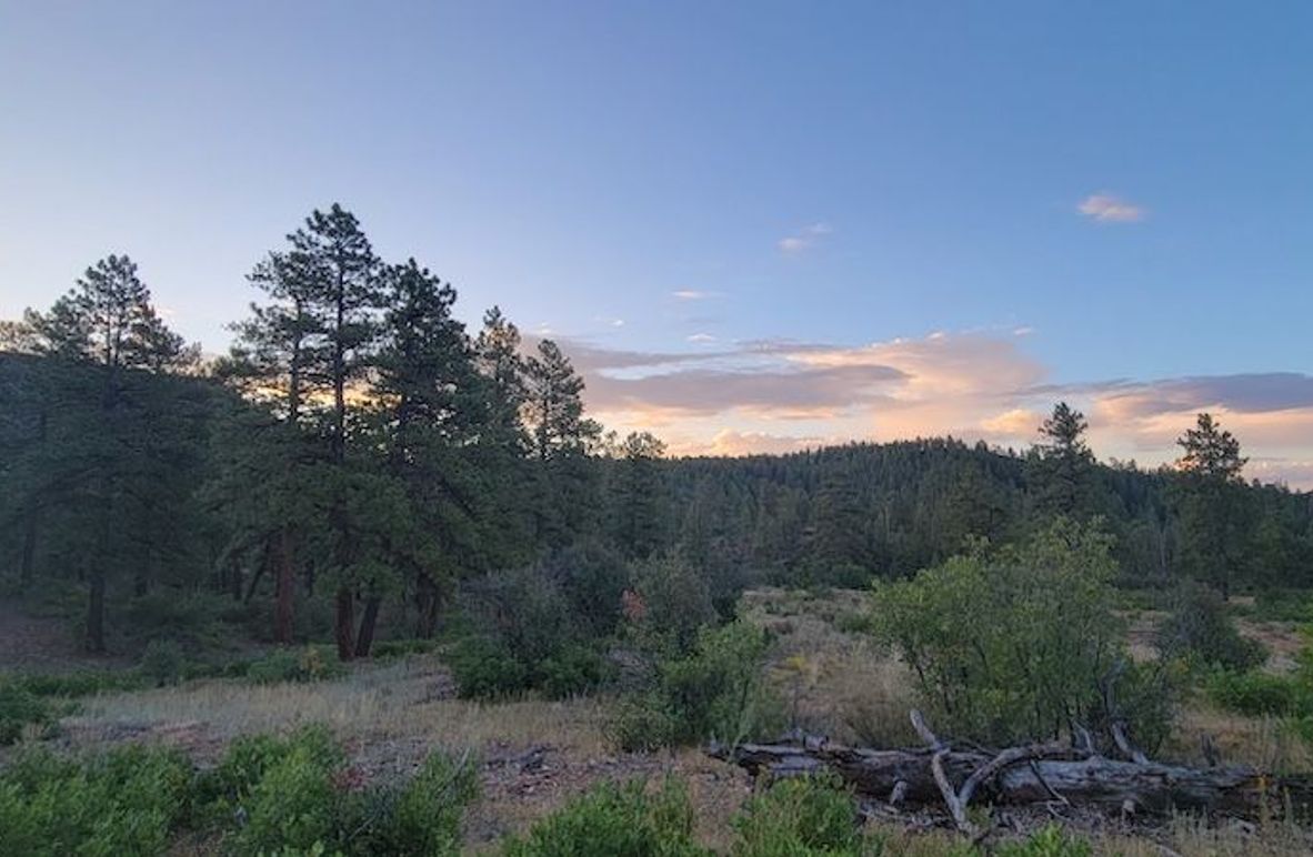 Copy of 20210827_064833