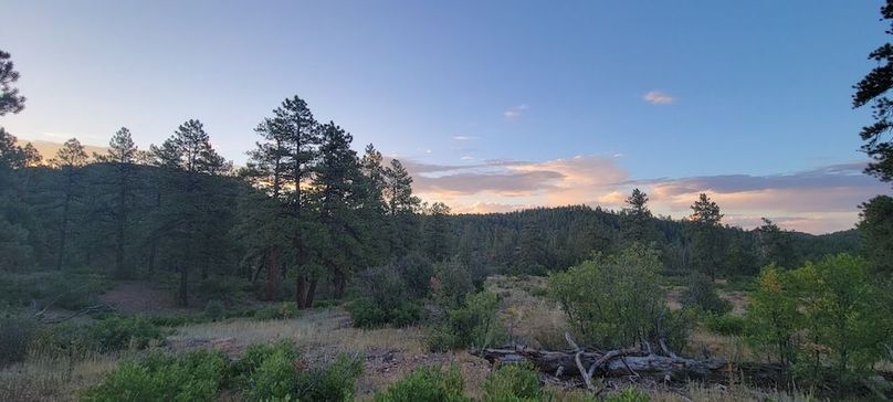 Copy of 20210827_064833