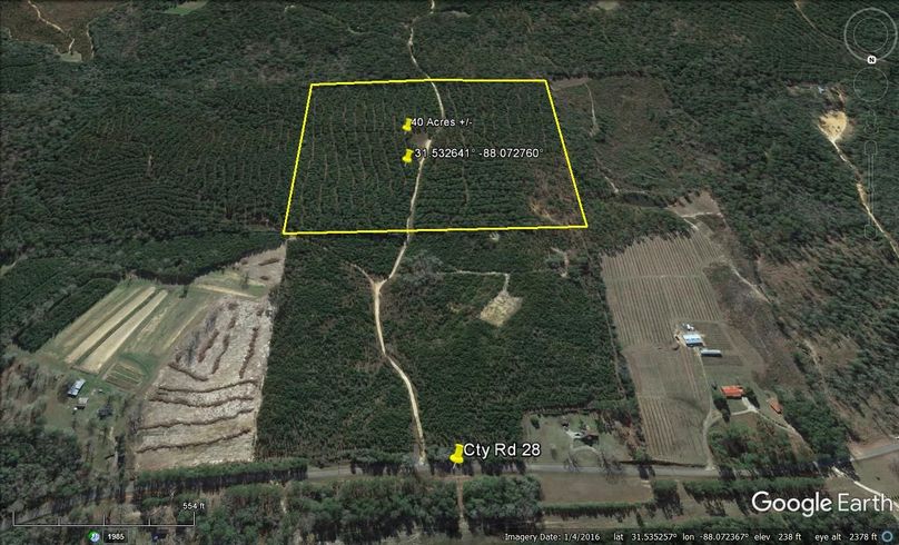 Aerial #4 Approx. 40 Acres Washington County, AL