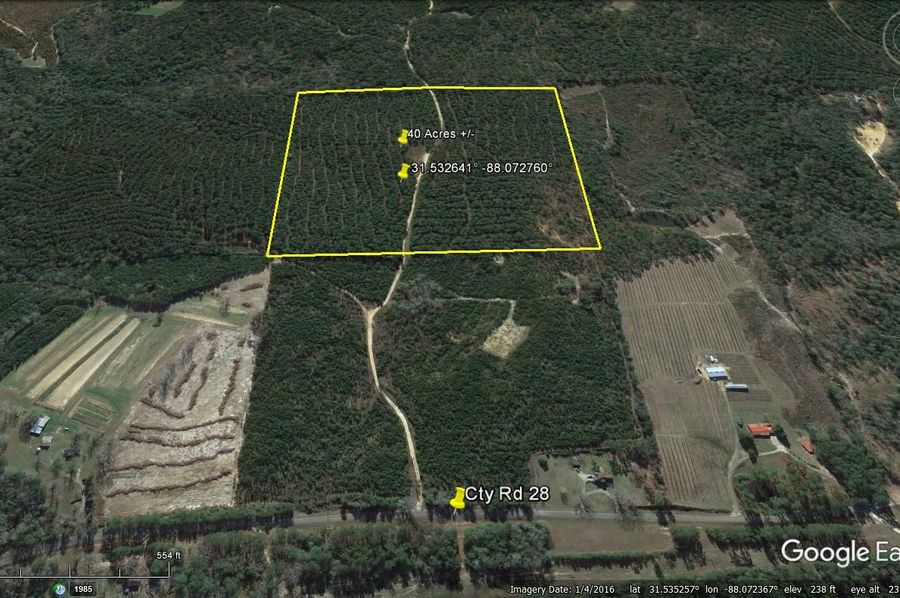Aerial #4 Approx. 40 Acres Washington County, AL