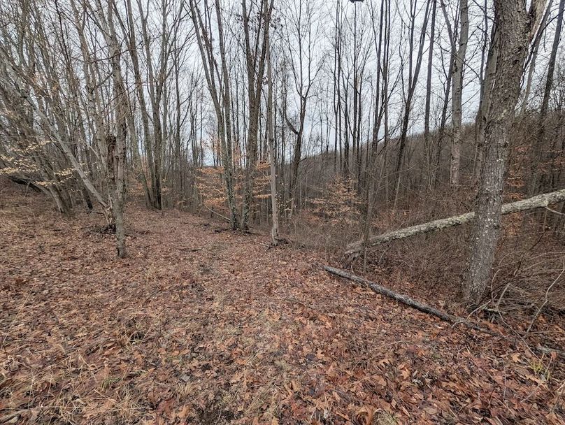 PXL_20260107_183640321.MP