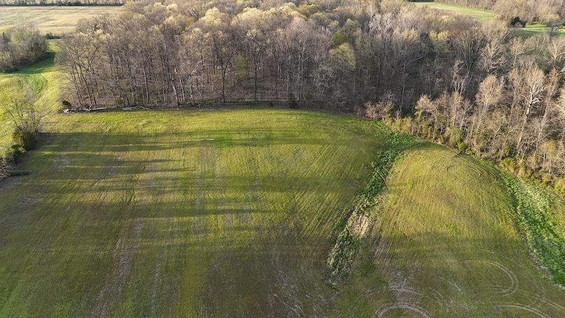 DJI_20250411193116_0313_D