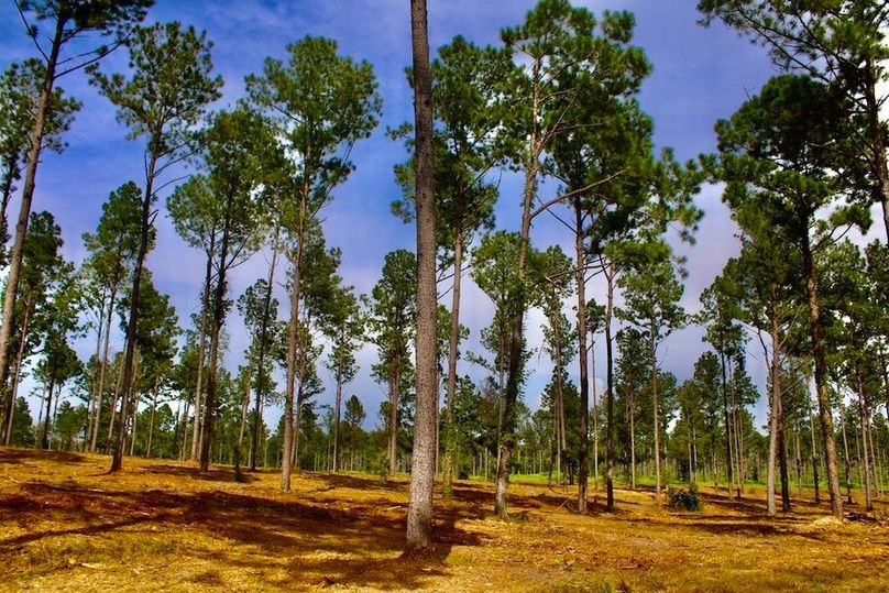 F98935F6-EA6C-4CBD-B032-E3B9B609411E_1_105_c