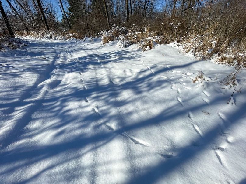 Juneau 105 Cantic -05