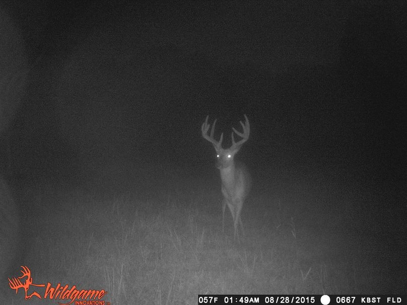 Super 10 Pointer!