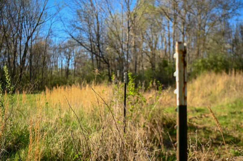 vandalia 450 (2)-2456