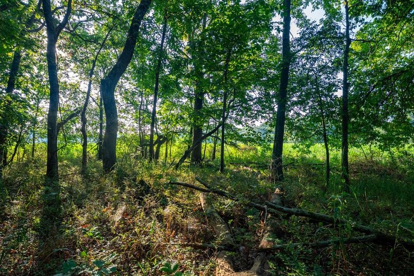 Copy of DSC06181 Large