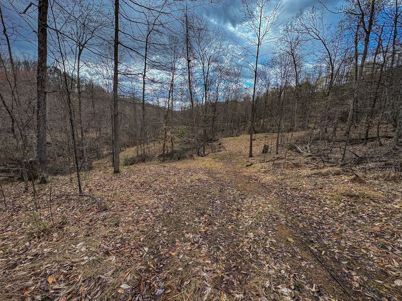 Wirt, WV 156.941 AC Full-14