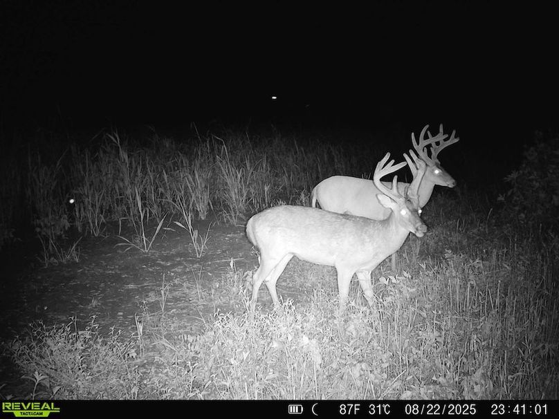 Copy of Copy of Noxubee 222.1 Trail Cam-7