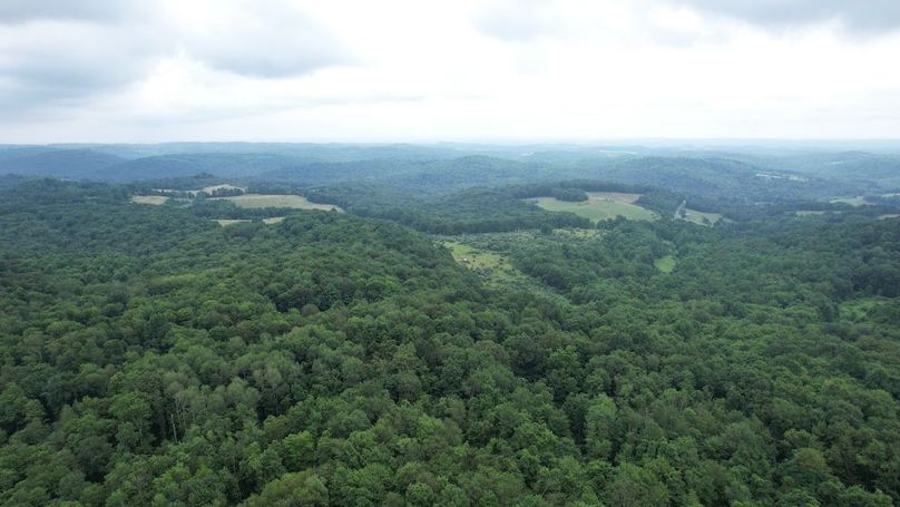 dji_fly_20250714_141856_451_1752537404178_photo