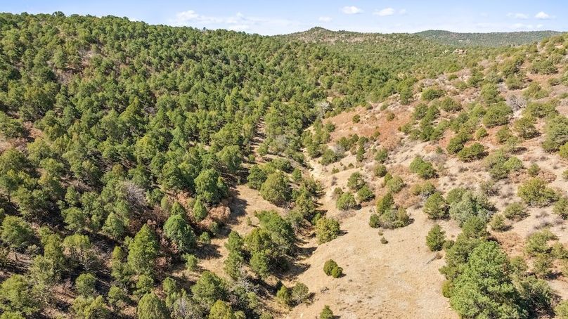 DJI_20260326121318_0448_D_1