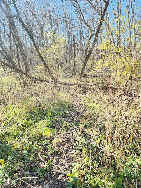 b45e1b5e-7d05-44cf-8c69-4f483e2b9b69