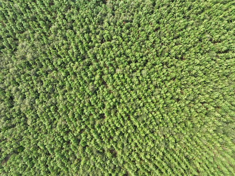 dji_fly_20230905_114122_631_1693928728872_photo