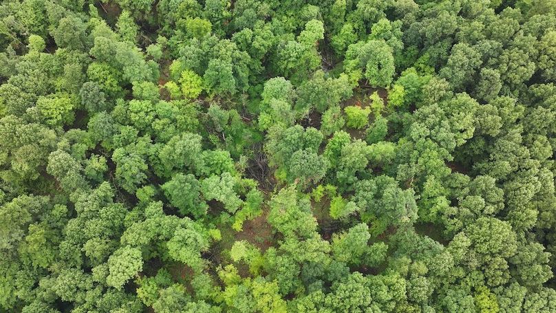 dji_fly_20240629_124008_0218_1719679396778_photo