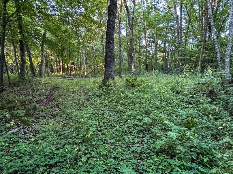 Pantzke Ground Photos-18