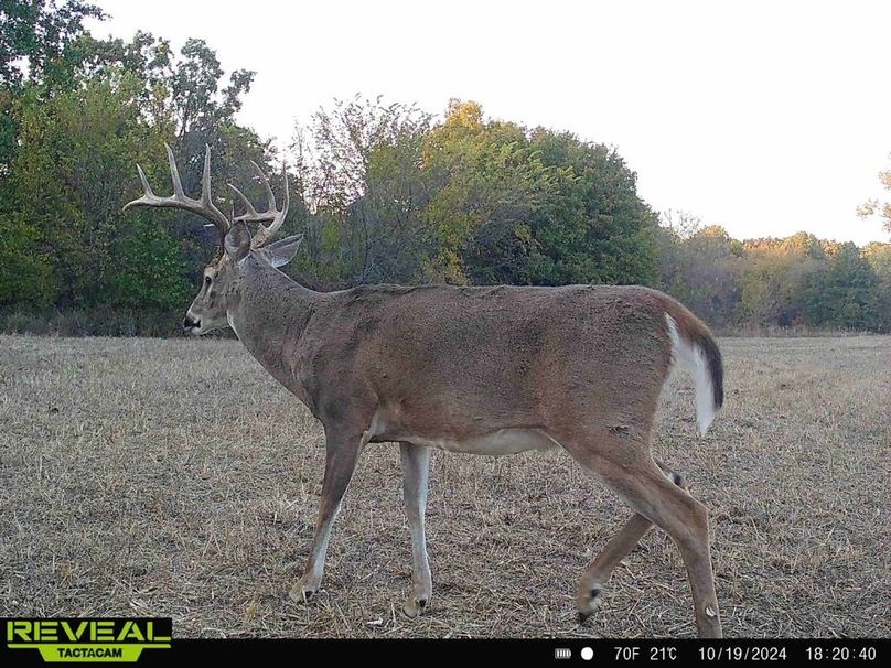 865814048095218-100-1-10192024182040-HD-W1005123