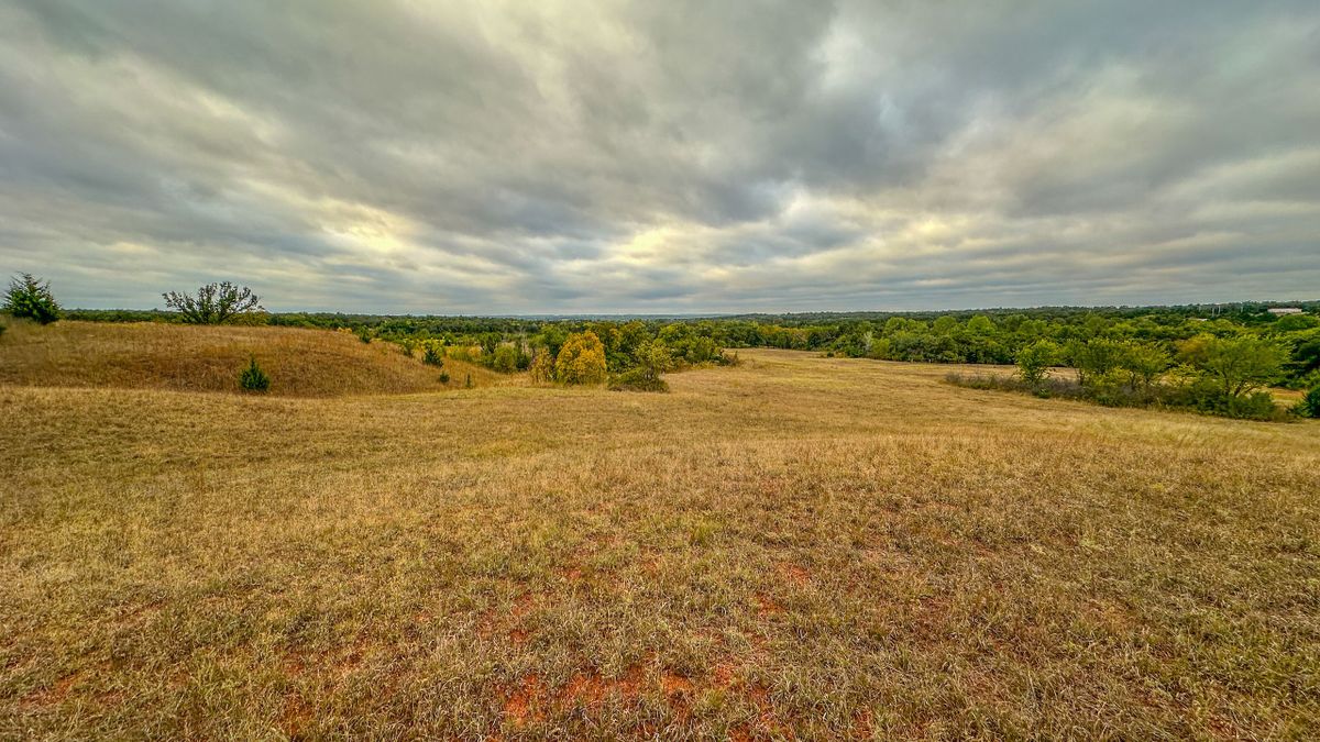 Rolling Acreage Offering Beautiful Views Whitetail Properties